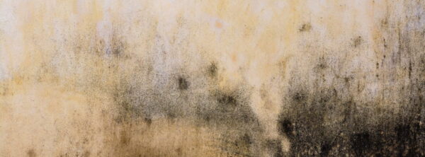 Peinture murale Fond de ciment