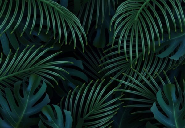 Peinture murale Branches de palmiers