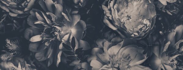 Peinture murale Pivoines en noir