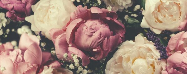Peinture murale Blanc et Rose