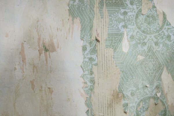 Peinture murale Papier Peint Vert