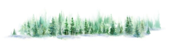 Peinture murale Forêt d'aquarelle