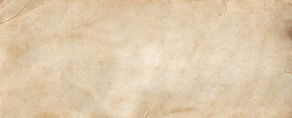 Peinture murale Feuille brune