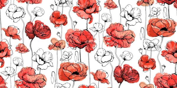 Peinture murale Coquelicots rouges