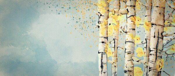 Peinture murale Bouleaux d'automne
