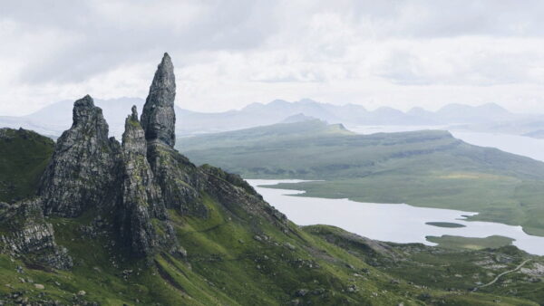 Peinture murale Ecosse verte