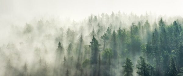 Peinture murale Brouillard vertical