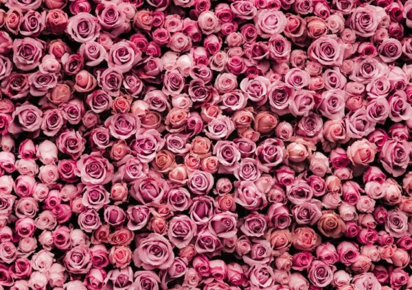 Peinture murale Tapis fleuri