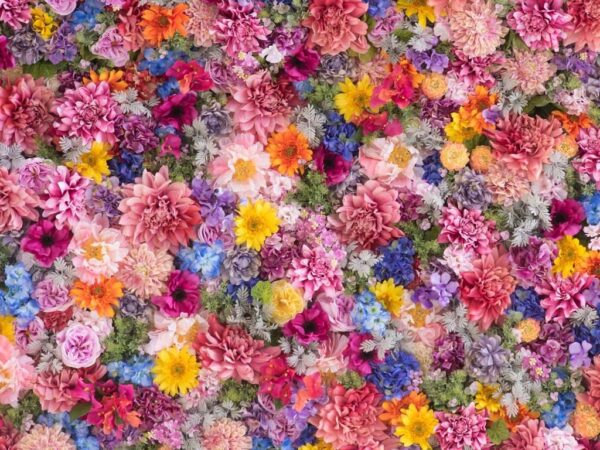 Peinture murale Mur de fleurs