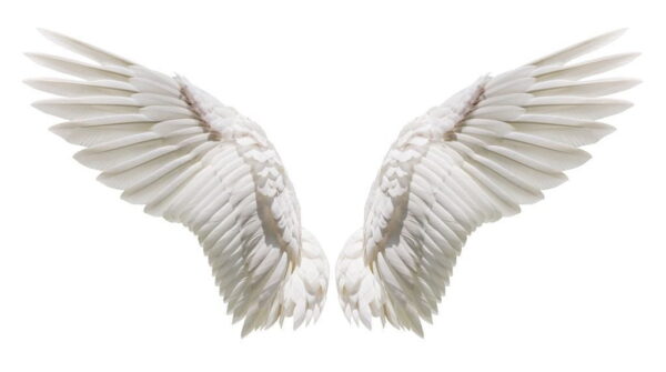 Peinture murale Ailes d'ange