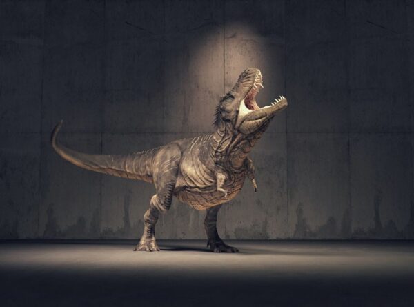 Peinture murale Dinosaure