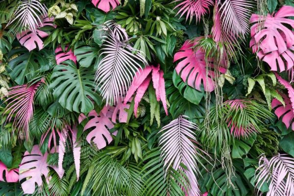 Peinture murale Feuilles tropicales colorées