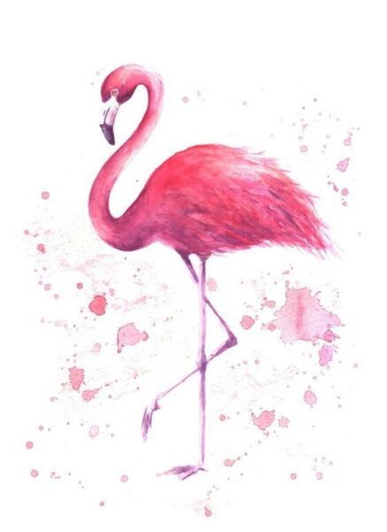 Poster XXL Flamant rose