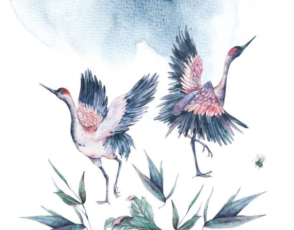 Peinture murale Illustration d'oiseaux