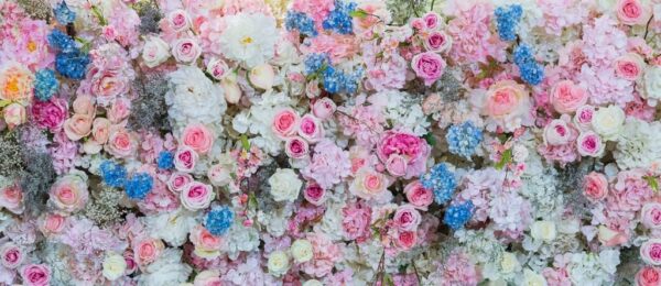 Sticker mural Floral Rose Fond