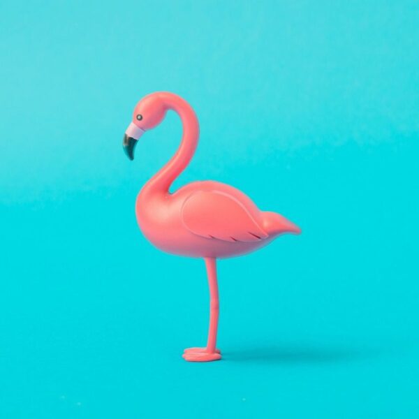 Peinture murale Flamant rose sur fond bleu