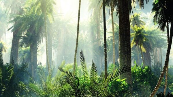 Poster XXL Forêt Tropicale