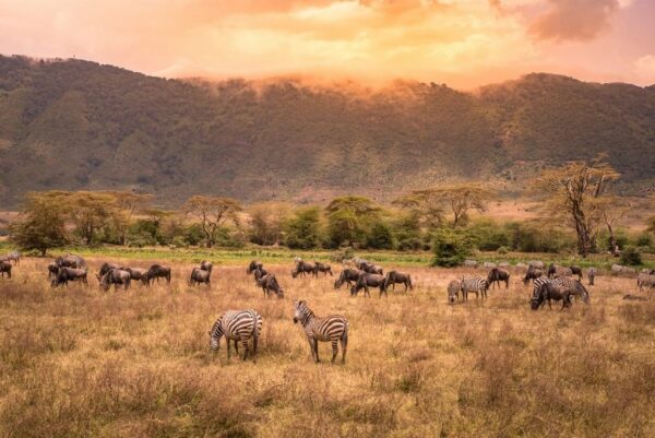 Papier peint Cratère du Ngorongoro