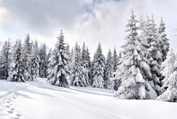 Peinture murale Paysage d'hiver
