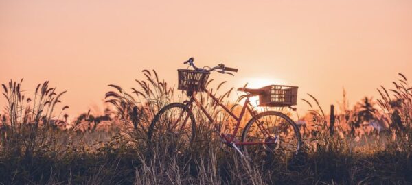 Peinture murale Vélo au coucher du soleil