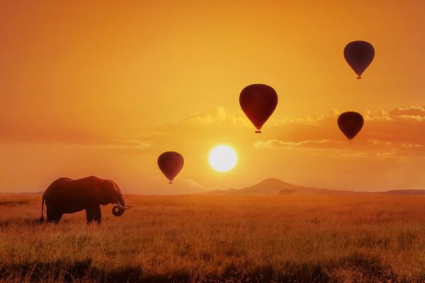 Peinture murale Éléphant avec des ballons en arrière-plan