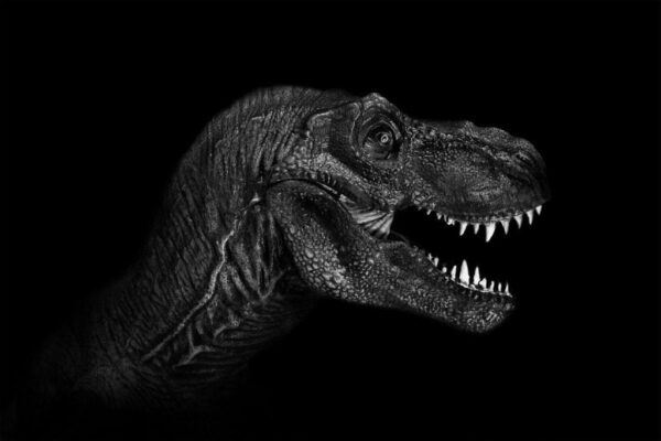 Poster XXL Tyrannosaure Rex