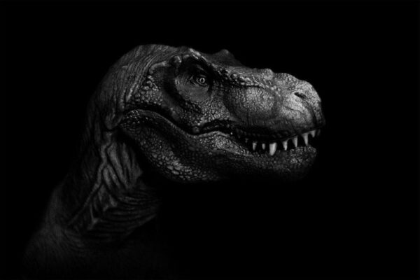 Peinture murale Portrait de Tyrannosaurus Rex
