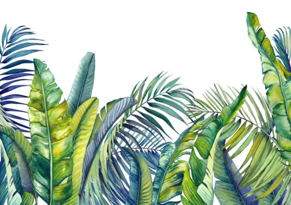 Peinture murale Illustration de palmiers tropicaux