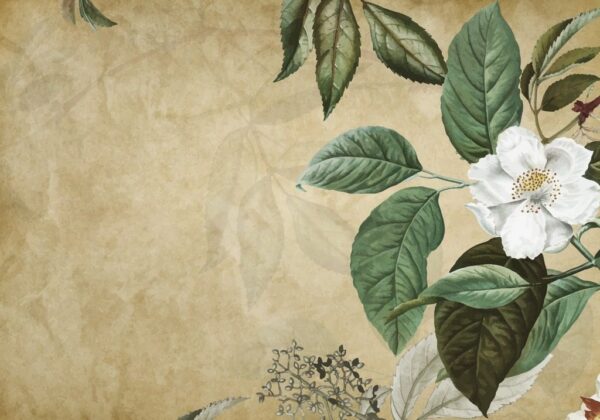 Peinture murale Feuilles de rose vertes