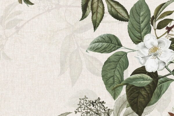 Papier peint Feuilles de rose vecteur vert