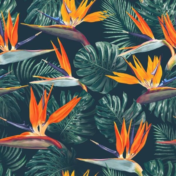 Peinture murale Illustration d'oiseaux tropicaux