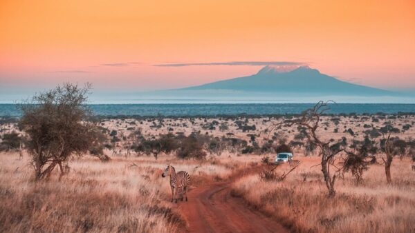 Poster XXL Ouest sur le Kilimandjaro
