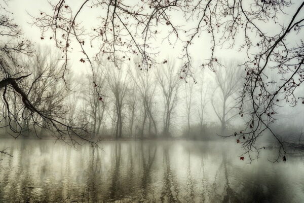 Peinture murale Brouillard d'hiver