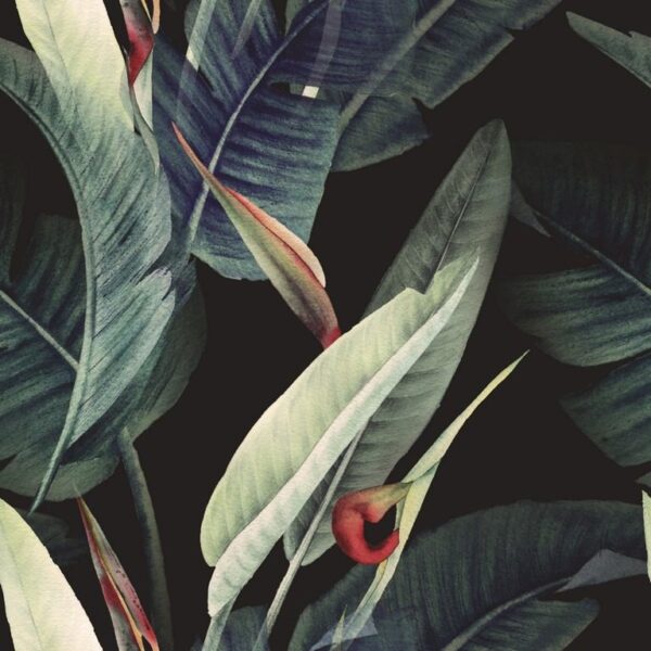 Sticker mural Texture de feuilles tropicales