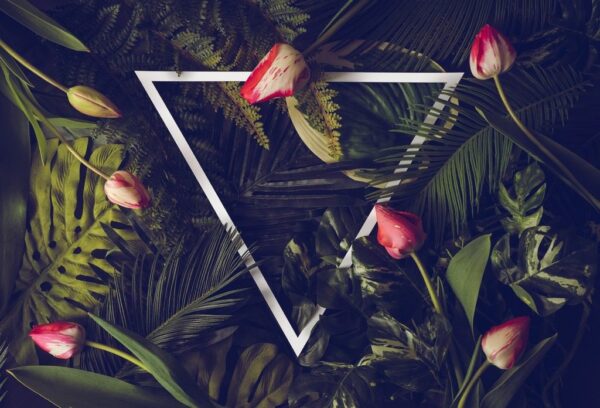 Papier peint Feuilles tropicales sur fond sombre