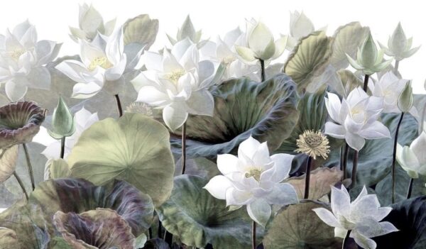 Peinture murale Fleur de lotus