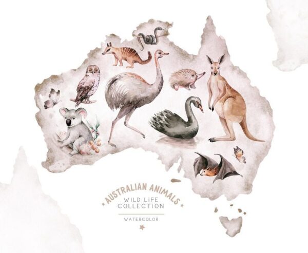 Poster XXL Animaux d'Australie