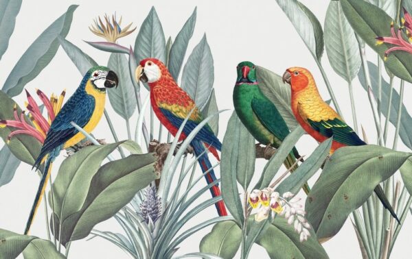 Peinture murale Oiseaux tropicaux colorés