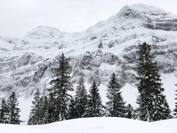 Peinture murale Paysage d'hiver