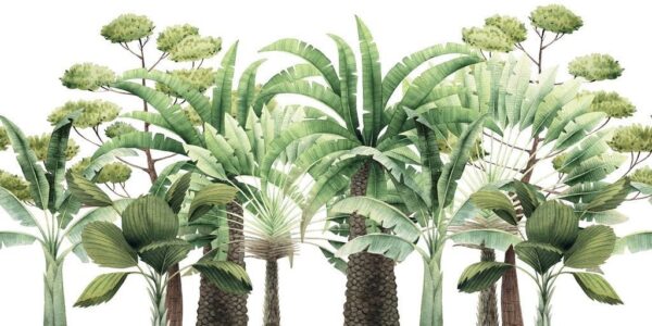 Poster XXL Palmiers tropicaux