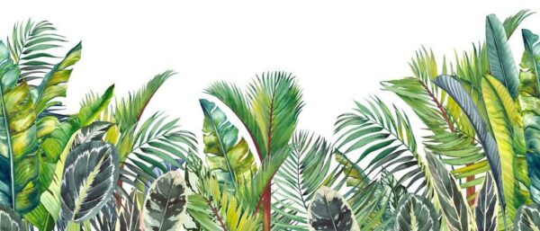 Poster XXL Palmier Jungle