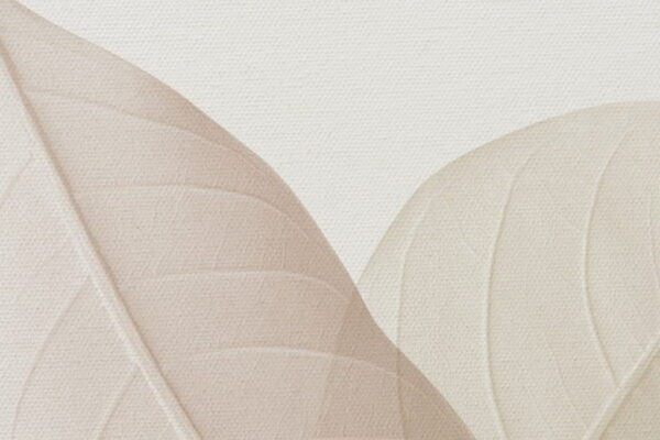 Peinture murale Trace de feuille