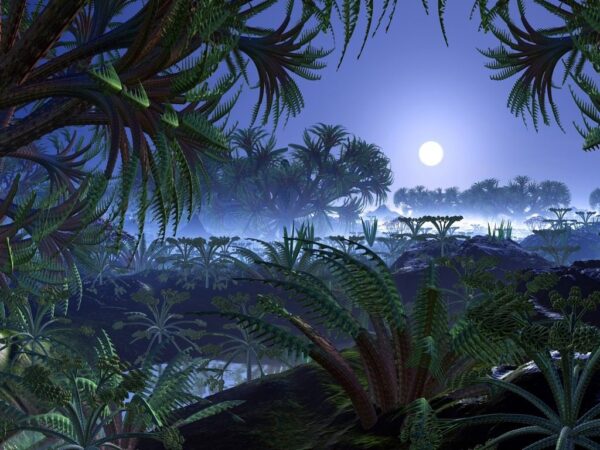 Peinture murale Jungle la nuit