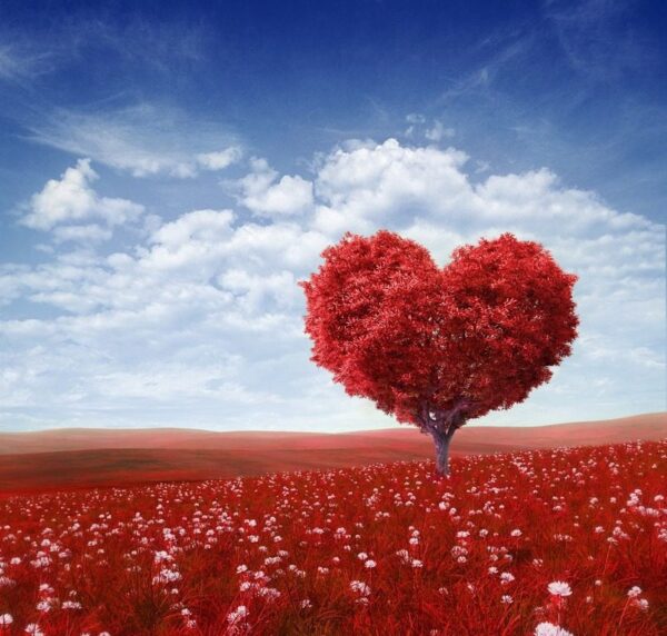 Poster XXL Coeur rouge