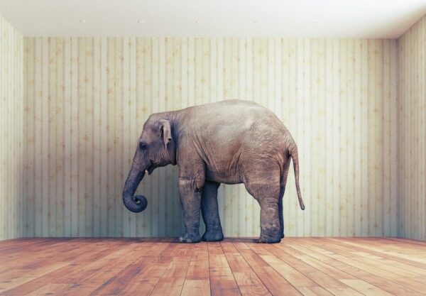Peinture murale Éléphant en Paix