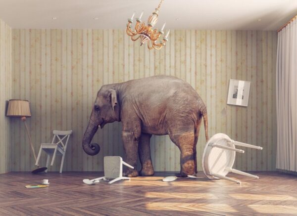 Peinture murale Éléphant en Paix