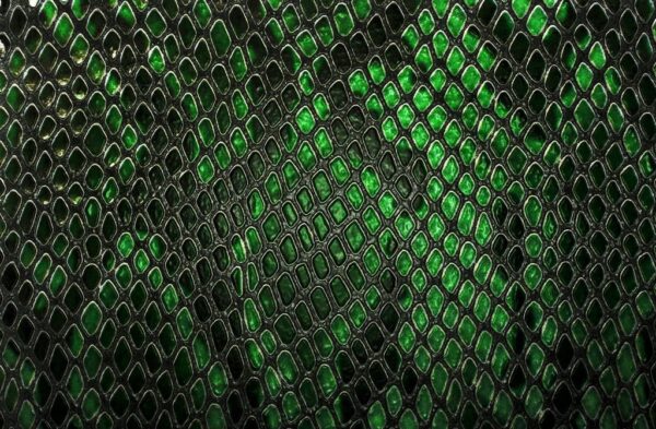Poster XXL Peau de serpent
