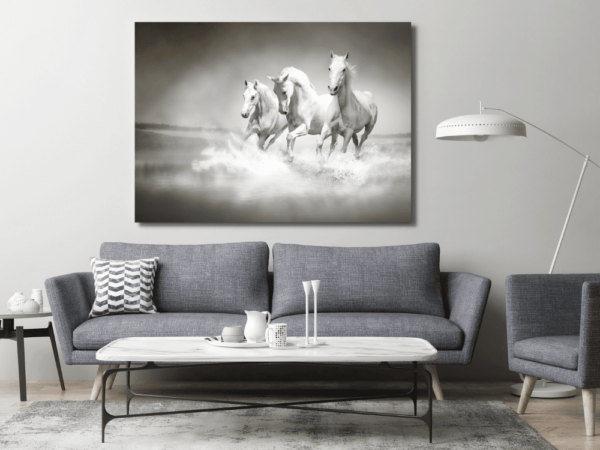 Image de chevaux blancs – Image 3