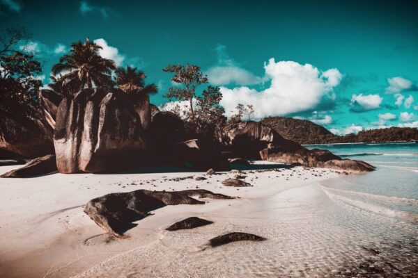 Peinture murale Plage aux Seychelles