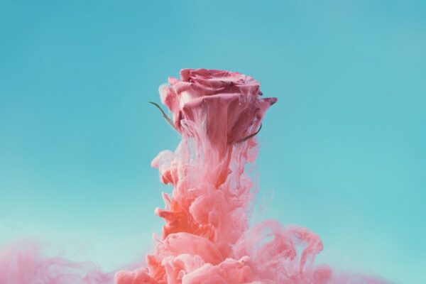 Peinture murale Rose et fumée